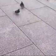 ヒメ日記 2025/04/08 22:24 投稿 みほ 新宿・新大久保おかあさん