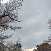 ヒメ日記 2025/04/11 09:50 投稿 みほ 新宿・新大久保おかあさん