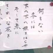 ヒメ日記 2025/04/19 22:05 投稿 みほ 新宿・新大久保おかあさん