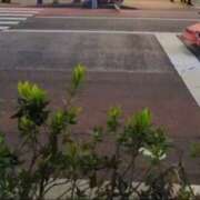 ヒメ日記 2025/04/29 22:30 投稿 みほ 新宿・新大久保おかあさん