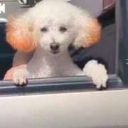 ヒメ日記 2025/05/02 08:20 投稿 みほ 新宿・新大久保おかあさん