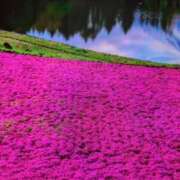 ヒメ日記 2025/05/09 09:50 投稿 みほ 新宿・新大久保おかあさん