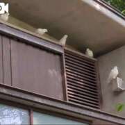 ヒメ日記 2025/05/23 23:50 投稿 みほ 新宿・新大久保おかあさん