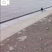 ヒメ日記 2025/06/07 09:20 投稿 みほ 新宿・新大久保おかあさん