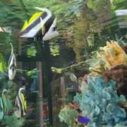 ヒメ日記 2025/06/22 10:00 投稿 みほ 新宿・新大久保おかあさん