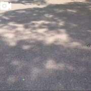 ヒメ日記 2025/07/02 09:50 投稿 みほ 新宿・新大久保おかあさん