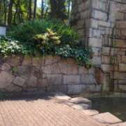 ヒメ日記 2025/08/07 21:50 投稿 みほ 新宿・新大久保おかあさん