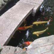 ヒメ日記 2025/08/15 22:50 投稿 みほ 新宿・新大久保おかあさん