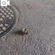 ヒメ日記 2025/08/26 22:50 投稿 みほ 新宿・新大久保おかあさん