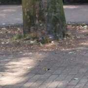 ヒメ日記 2025/09/02 08:00 投稿 みほ 新宿・新大久保おかあさん