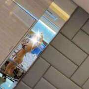 ヒメ日記 2025/11/18 17:10 投稿 めい 池袋デリヘル倶楽部