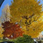 ヒメ日記 2024/12/22 19:54 投稿 水野 はづき マーベリック横浜