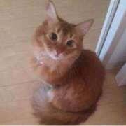 ヒメ日記 2024/12/31 08:54 投稿 水野 はづき マーベリック横浜