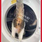 ヒメ日記 2025/01/23 13:24 投稿 水野 はづき マーベリック横浜