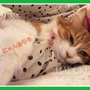 ヒメ日記 2025/03/22 22:34 投稿 水野 はづき マーベリック横浜