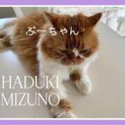 ヒメ日記 2025/03/26 13:24 投稿 水野 はづき マーベリック横浜