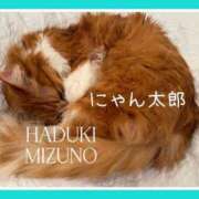 ヒメ日記 2025/03/26 15:34 投稿 水野 はづき マーベリック横浜