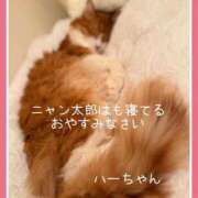 ヒメ日記 2025/03/28 01:54 投稿 水野 はづき マーベリック横浜