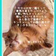 ヒメ日記 2025/04/04 11:45 投稿 水野 はづき マーベリック横浜