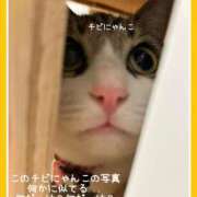 ヒメ日記 2025/04/05 15:04 投稿 水野 はづき マーベリック横浜