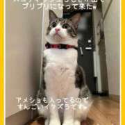 ヒメ日記 2025/04/06 22:14 投稿 水野 はづき マーベリック横浜