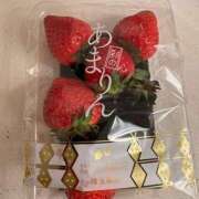 ヒメ日記 2025/04/08 10:54 投稿 水野 はづき マーベリック横浜