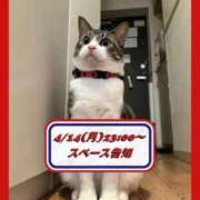 ヒメ日記 2025/04/13 15:14 投稿 水野 はづき マーベリック横浜