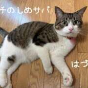 ヒメ日記 2025/04/13 16:24 投稿 水野 はづき マーベリック横浜