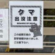 ヒメ日記 2025/04/15 10:44 投稿 水野 はづき マーベリック横浜