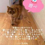 ヒメ日記 2025/04/21 16:36 投稿 水野 はづき マーベリック横浜