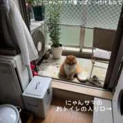 ヒメ日記 2025/05/01 14:14 投稿 水野 はづき マーベリック横浜