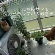 ヒメ日記 2025/05/05 13:04 投稿 水野 はづき マーベリック横浜