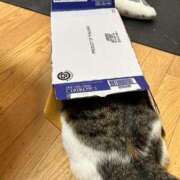 ヒメ日記 2025/05/06 01:54 投稿 水野 はづき マーベリック横浜