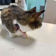 ヒメ日記 2025/05/06 09:44 投稿 水野 はづき マーベリック横浜