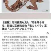 ヒメ日記 2025/05/07 13:54 投稿 水野 はづき マーベリック横浜