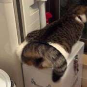 ヒメ日記 2025/05/10 18:44 投稿 水野 はづき マーベリック横浜