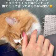 ヒメ日記 2025/05/11 13:14 投稿 水野 はづき マーベリック横浜