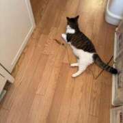 ヒメ日記 2025/05/11 16:14 投稿 水野 はづき マーベリック横浜