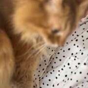 ヒメ日記 2025/05/12 12:44 投稿 水野 はづき マーベリック横浜