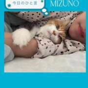 ヒメ日記 2025/05/13 02:14 投稿 水野 はづき マーベリック横浜