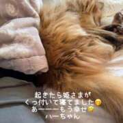 ヒメ日記 2025/05/18 13:04 投稿 水野 はづき マーベリック横浜