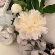 ヒメ日記 2025/05/18 15:27 投稿 水野 はづき マーベリック横浜