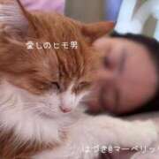 ヒメ日記 2025/05/20 11:54 投稿 水野 はづき マーベリック横浜