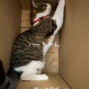 ヒメ日記 2025/05/21 14:54 投稿 水野 はづき マーベリック横浜