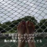 ヒメ日記 2025/06/02 13:04 投稿 水野 はづき マーベリック横浜