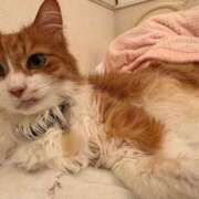 ヒメ日記 2025/06/13 10:04 投稿 水野 はづき マーベリック横浜