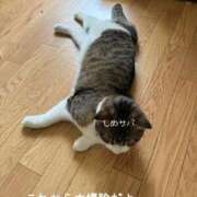 ヒメ日記 2025/06/16 12:44 投稿 水野 はづき マーベリック横浜