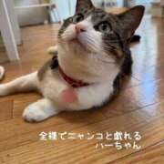 ヒメ日記 2025/06/18 16:44 投稿 水野 はづき マーベリック横浜