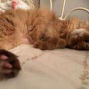 ヒメ日記 2025/06/20 16:34 投稿 水野 はづき マーベリック横浜