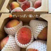 ヒメ日記 2025/06/26 12:06 投稿 水野 はづき マーベリック横浜